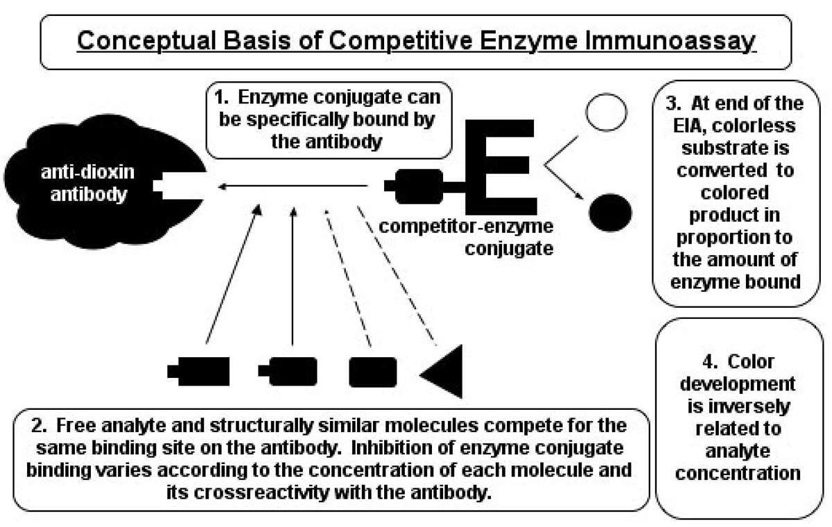 IABG2 Conceptual Basis of Competiive Enzyme Immunoassay